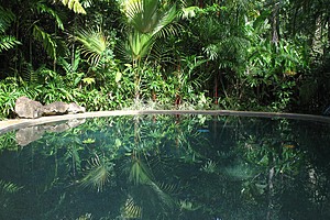 Daintree Rainforest Retreat Pool